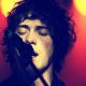 Andrew VanWyngarden