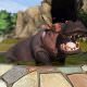 Zoo Tycoon 2013